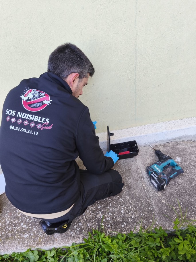 Service de dératisation dans les Bouches-du-Rhône
