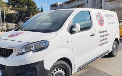 Dératisation à Vitrolles – Traitement contre problème de rongeurs